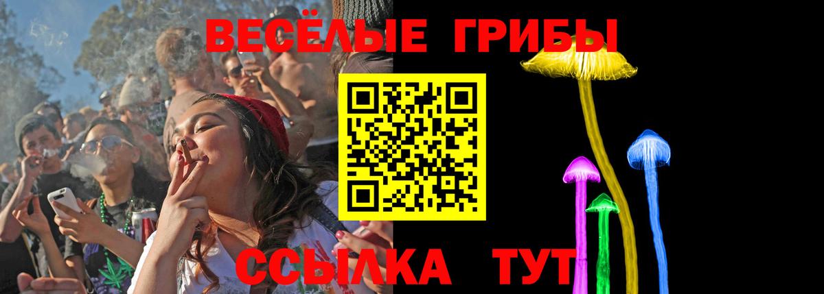 Псилоцибиновые грибы Psilocybine cubensis  Галлюциногенные грибы MAGIC MUSHROOMS  Вход с VPN  Кудымкар 